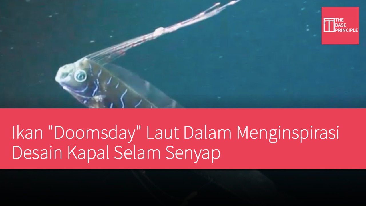 Ikan "Doomsday" Laut Dalam Menginspirasi Desain Kapal Selam Senyap