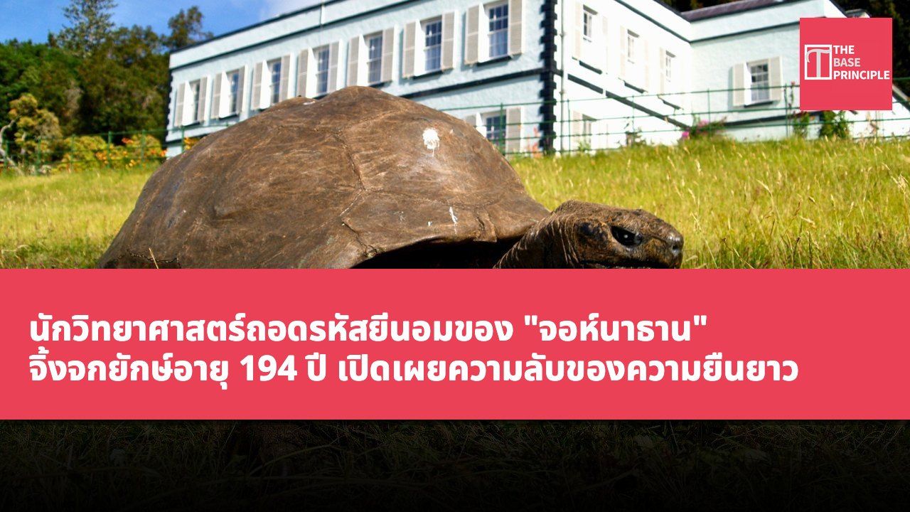 นักวิทยาศาสตร์ถอดรหัสยีนอมของ "จอห์นาธาน" จิ้งจกยักษ์อายุ 194 ปี เปิดเผยความลับของความยืนยาว