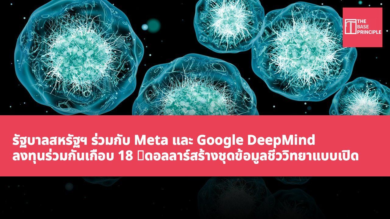 รัฐบาลสหรัฐฯ ร่วมกับ Meta และ Google DeepMind ลงทุนร่วมกันเกือบ 18 億ดอลลาร์สร้างชุดข้อมูลชีววิทยาแบบเปิด