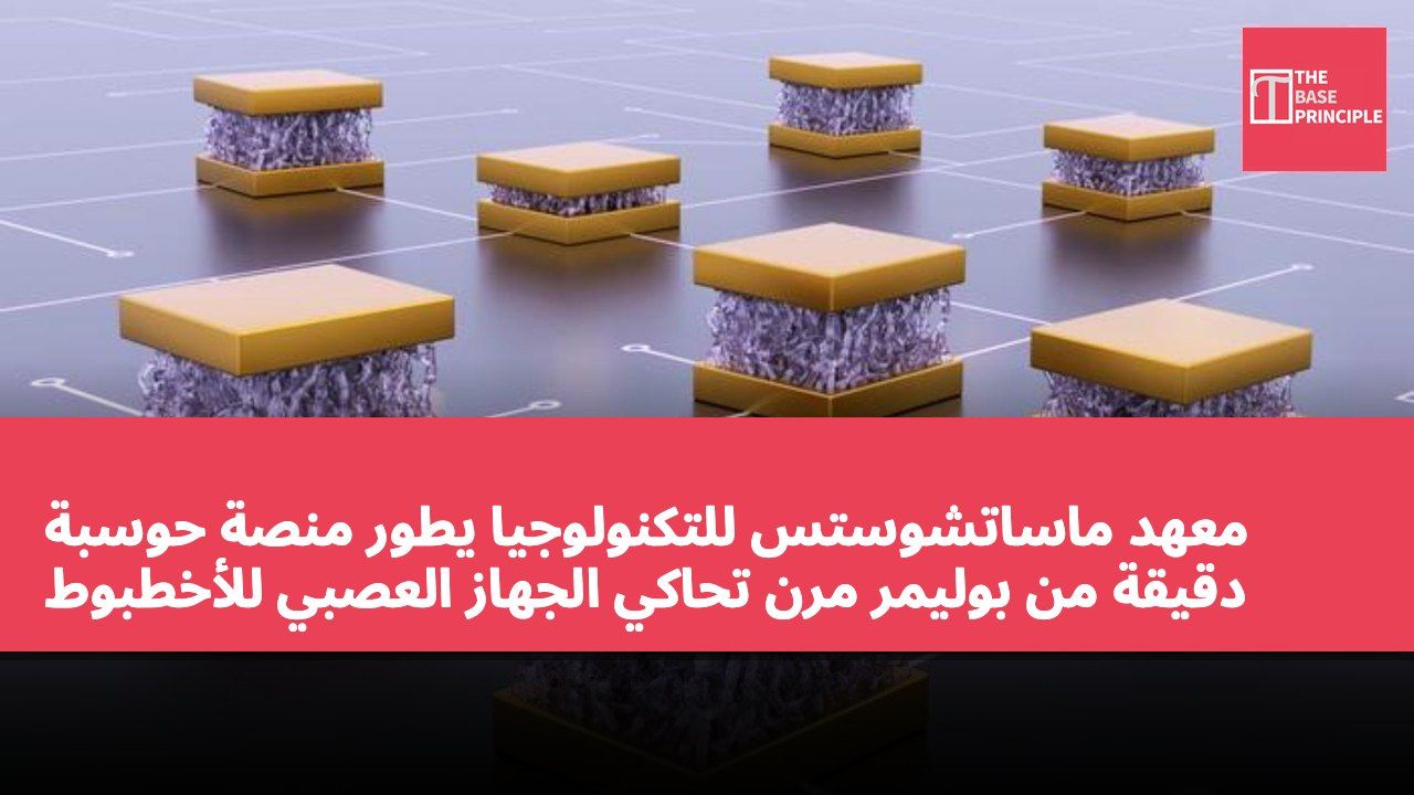 معهد ماساتشوستس للتكنولوجيا يطور منصة حوسبة دقيقة من بوليمر مرن تحاكي الجهاز العصبي للأخطبوط
