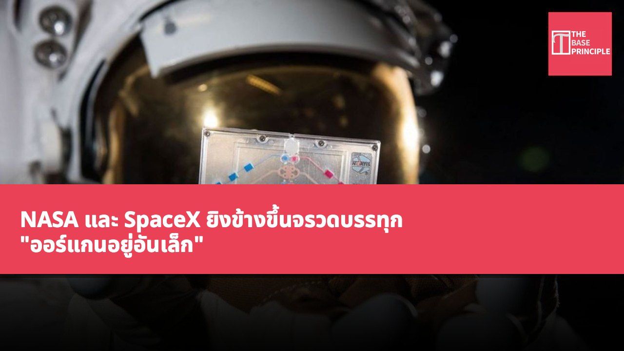 NASA และ SpaceX ยิงข้างขึ้นจรวดบรรทุก "ออร์แกนอยู่อันเล็ก" เพื่อศึกษาผลกระทบของอวกาศต่อร่างกายมนุษย์