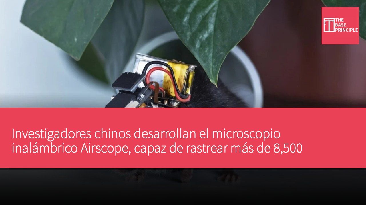 Investigadores chinos desarrollan el microscopio inalámbrico Airscope, capaz de rastrear más de 8,500 neuronas