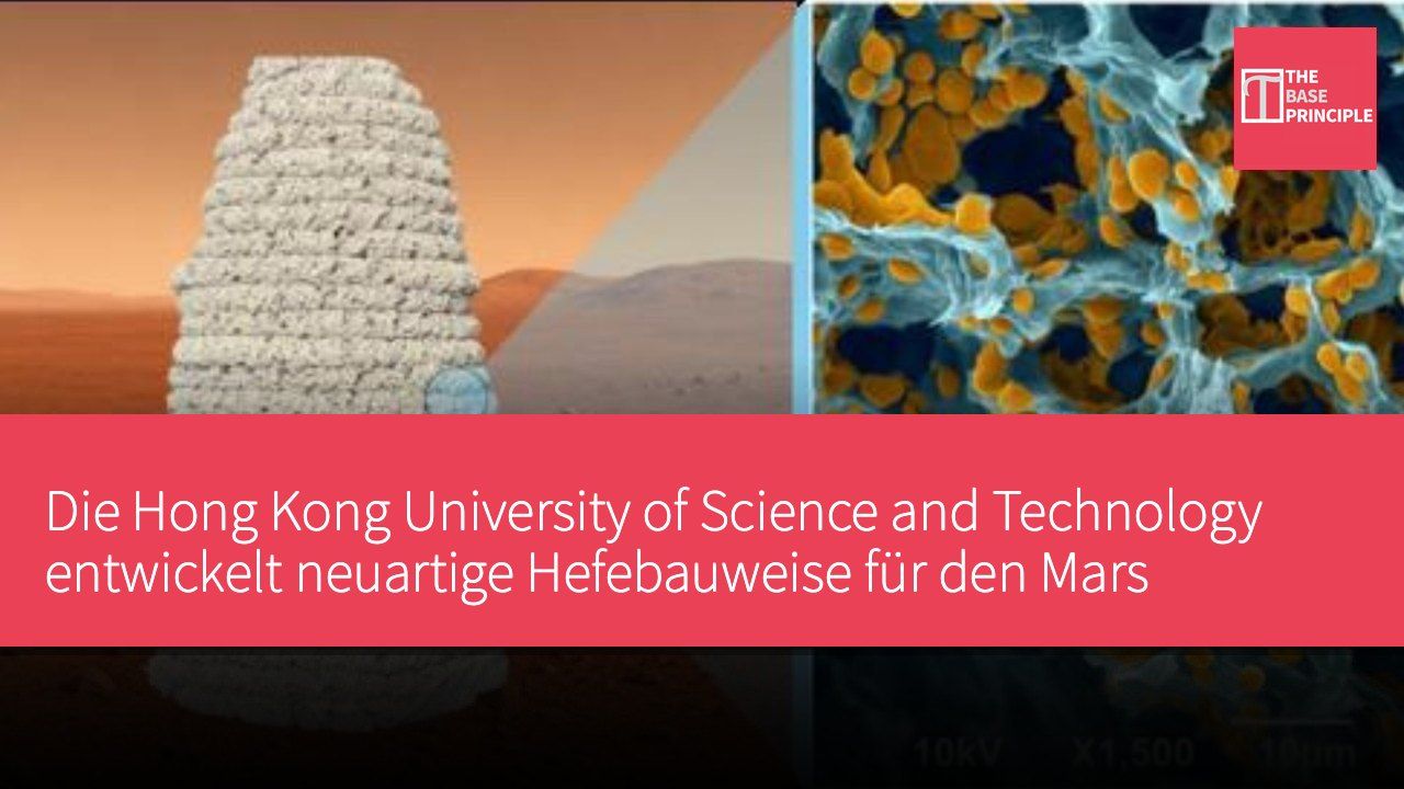 Die Hong Kong University of Science and Technology entwickelt neuartige Hefebauweise für den Mars