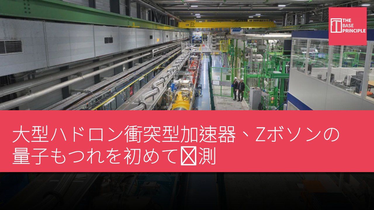 大型ハドロン衝突型加速器、Zボソンの量子もつれを初めて観測
