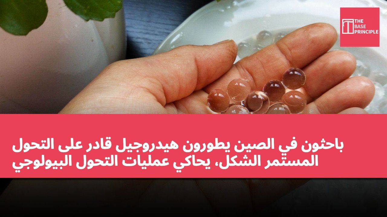 باحثون في الصين يطورون هيدروجيل قادر على التحول المستمر الشكل، يحاكي عمليات التحول البيولوجي