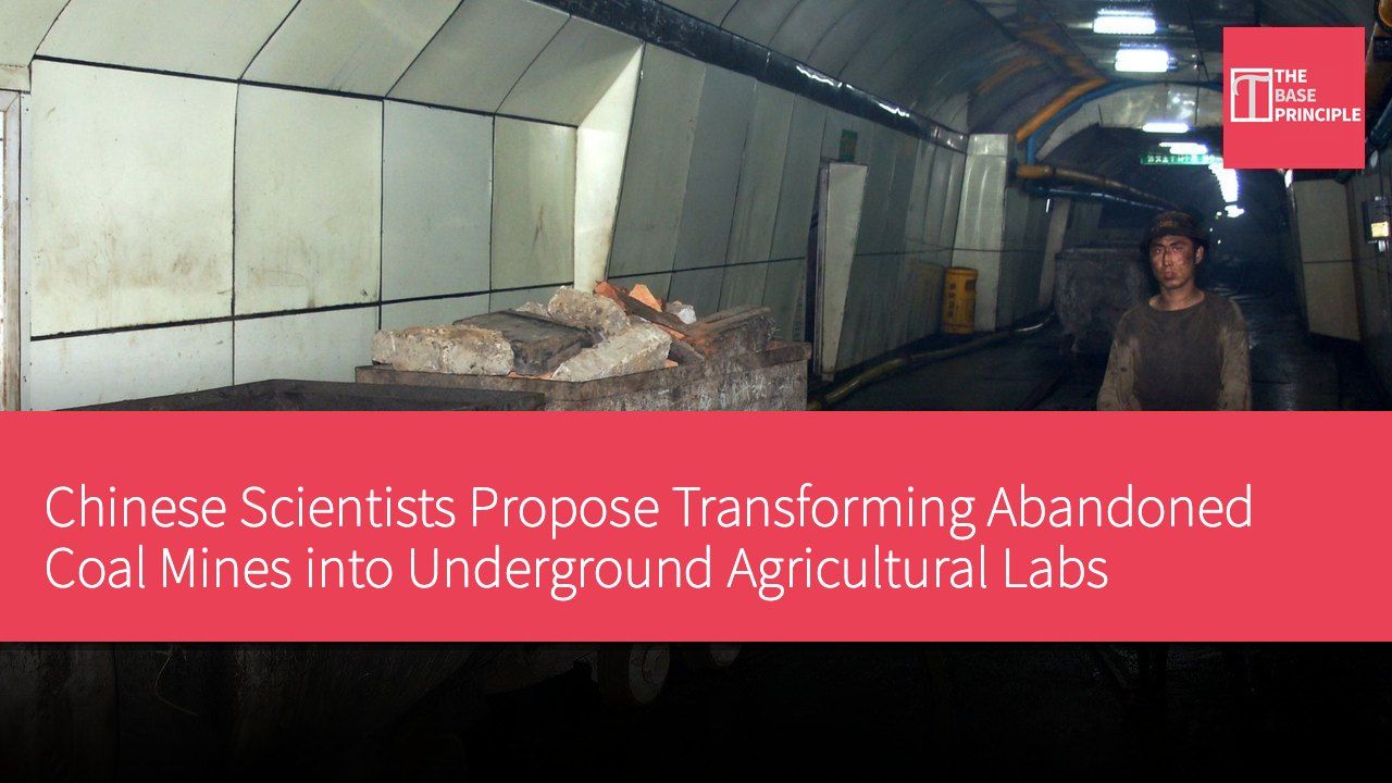 Chinese Scientists Propose Transforming Abandoned Coal Mines into Underground Agricultural Labs