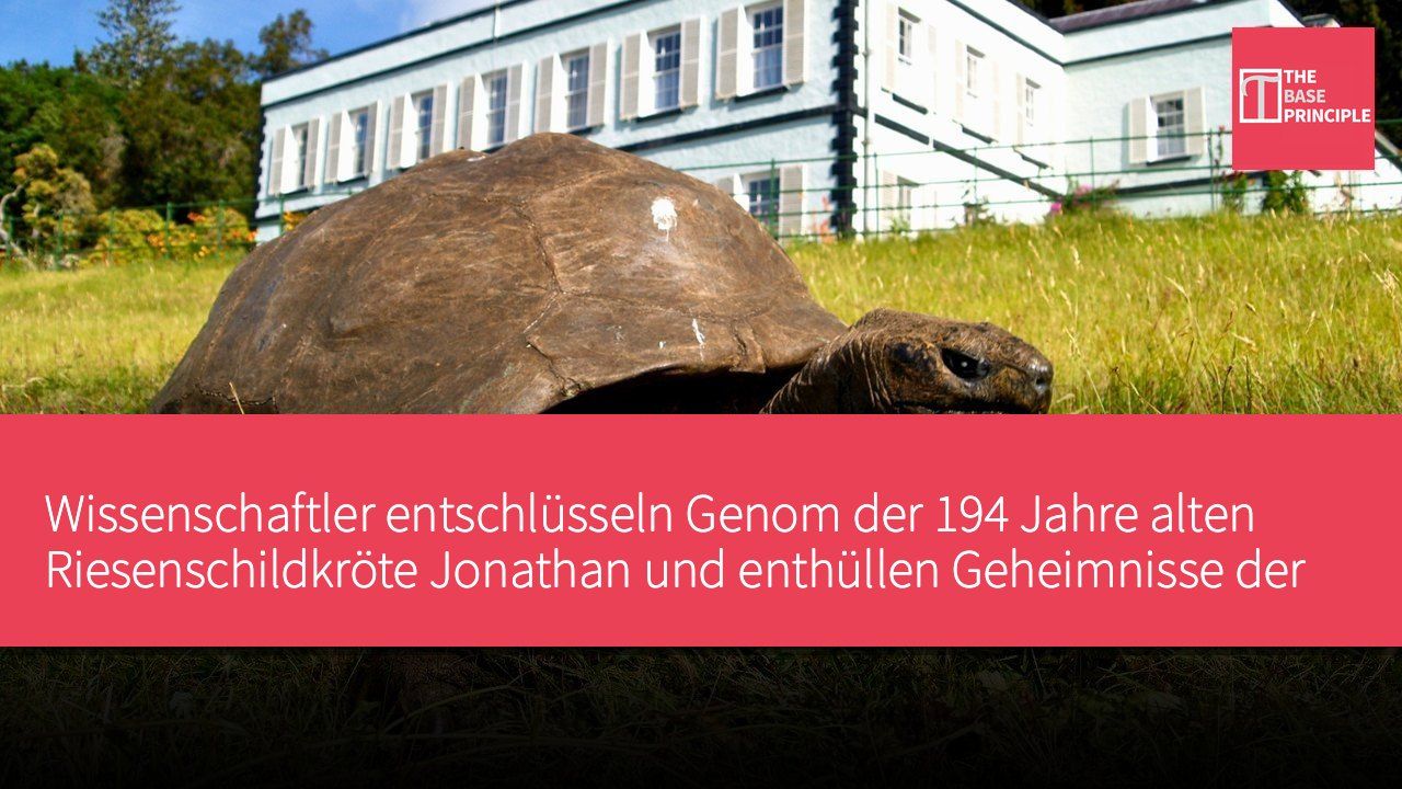 Wissenschaftler entschlüsseln Genom der 194 Jahre alten Riesenschildkröte Jonathan und enthüllen Geheimnisse der Langlebigkeit