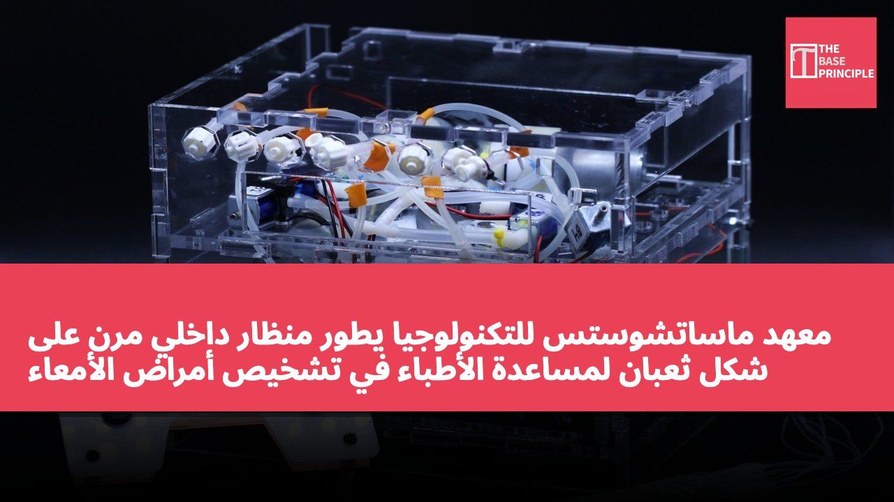 معهد ماساتشوستس للتكنولوجيا يطور منظار داخلي مرن على شكل ثعبان لمساعدة الأطباء في تشخيص أمراض الأمعاء الدقيقة