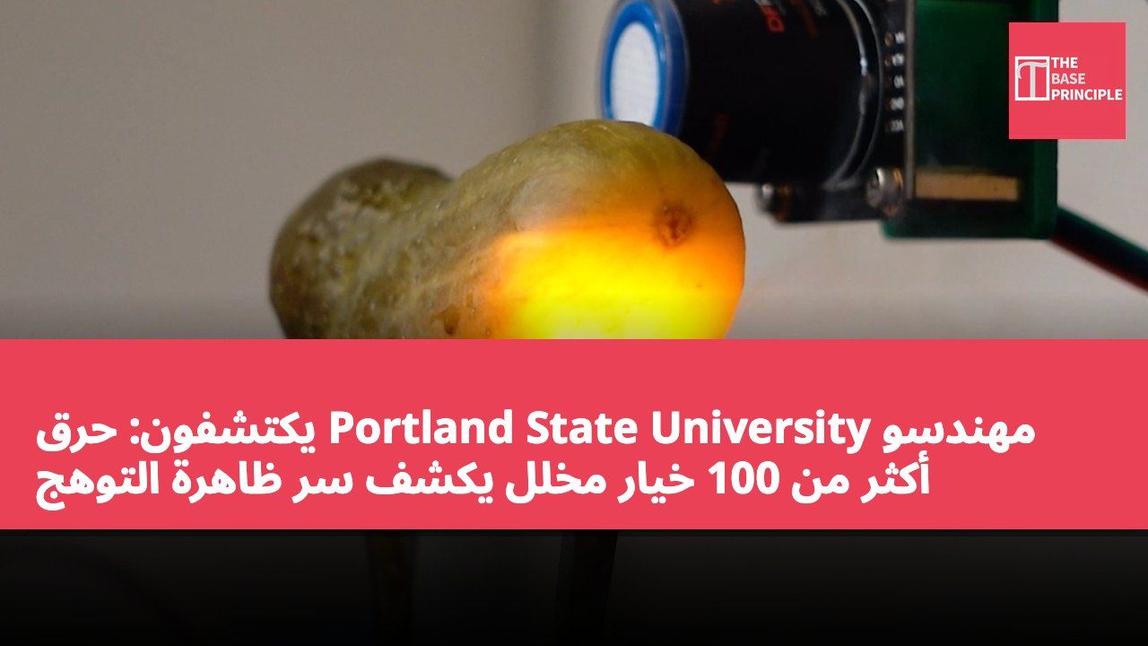 مهندسو Portland State University يكتشفون: حرق أكثر من 100 خيار مخلل يكشف سر ظاهرة التوهج
