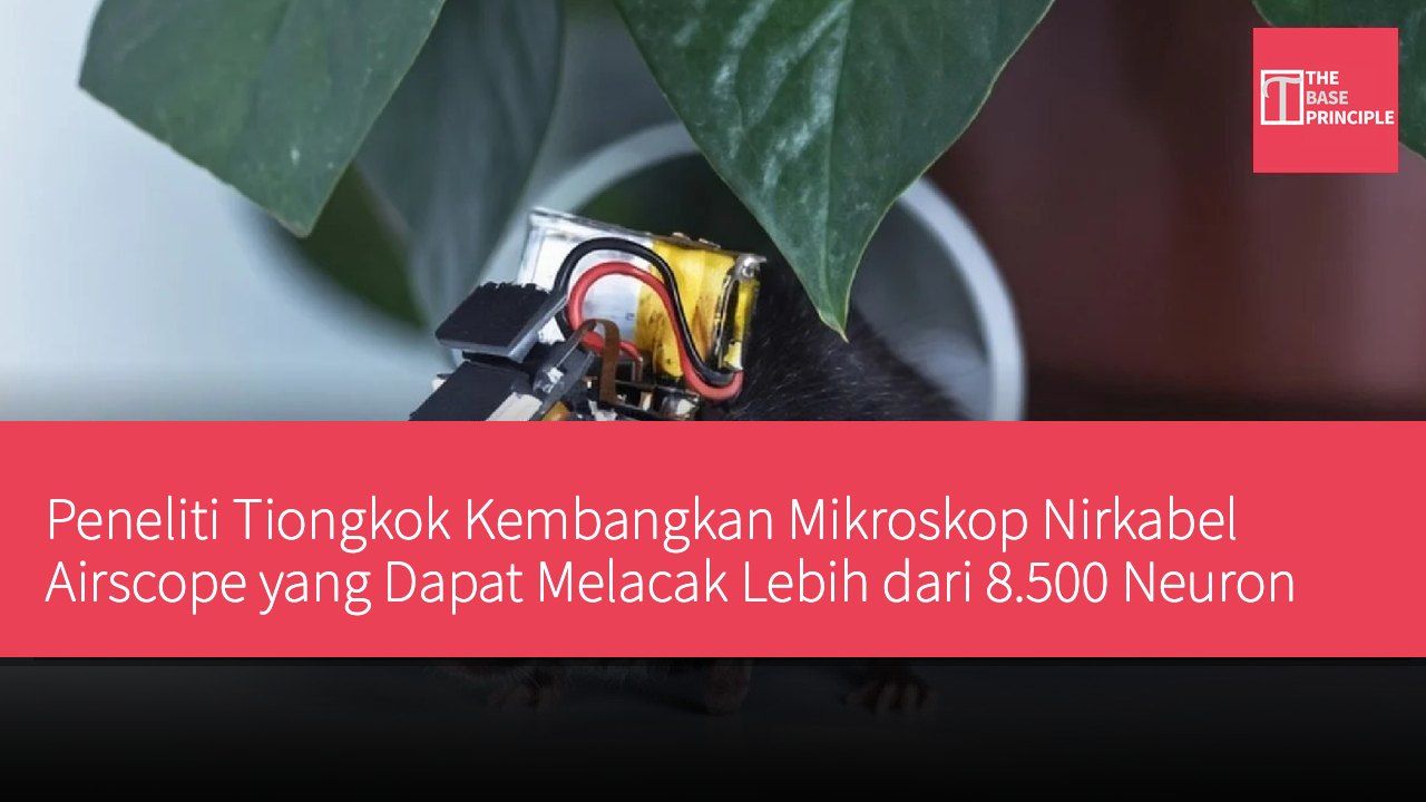 Peneliti Tiongkok Kembangkan Mikroskop Nirkabel Airscope yang Dapat Melacak Lebih dari 8.500 Neuron