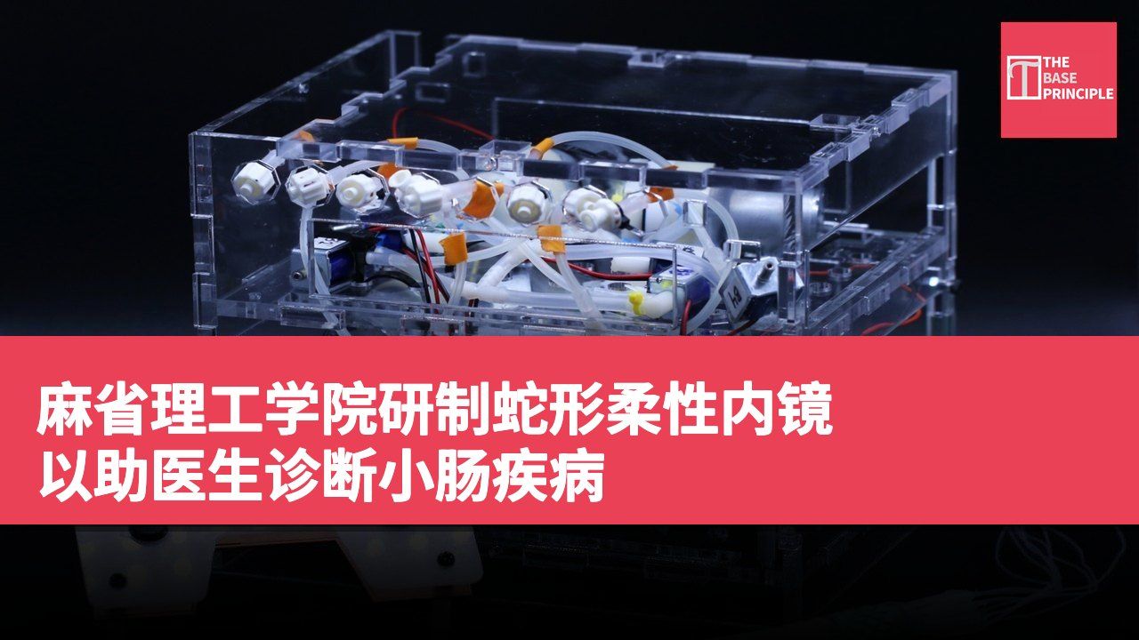 麻省理工学院研制蛇形柔性内镜 以助医生诊断小肠疾病