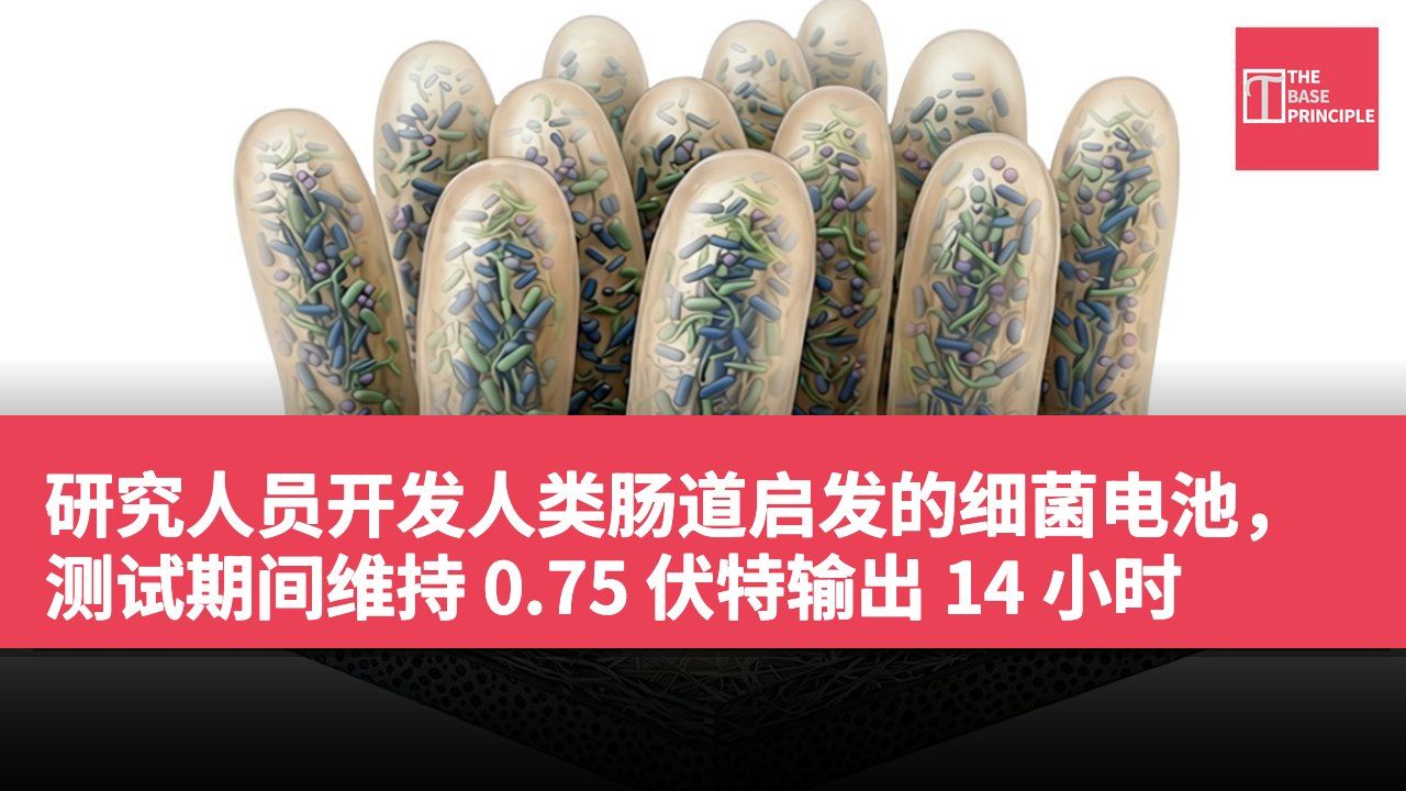 研究人员开发人类肠道启发的细菌电池,测试期间维持 0.75 伏特输出 14 小时