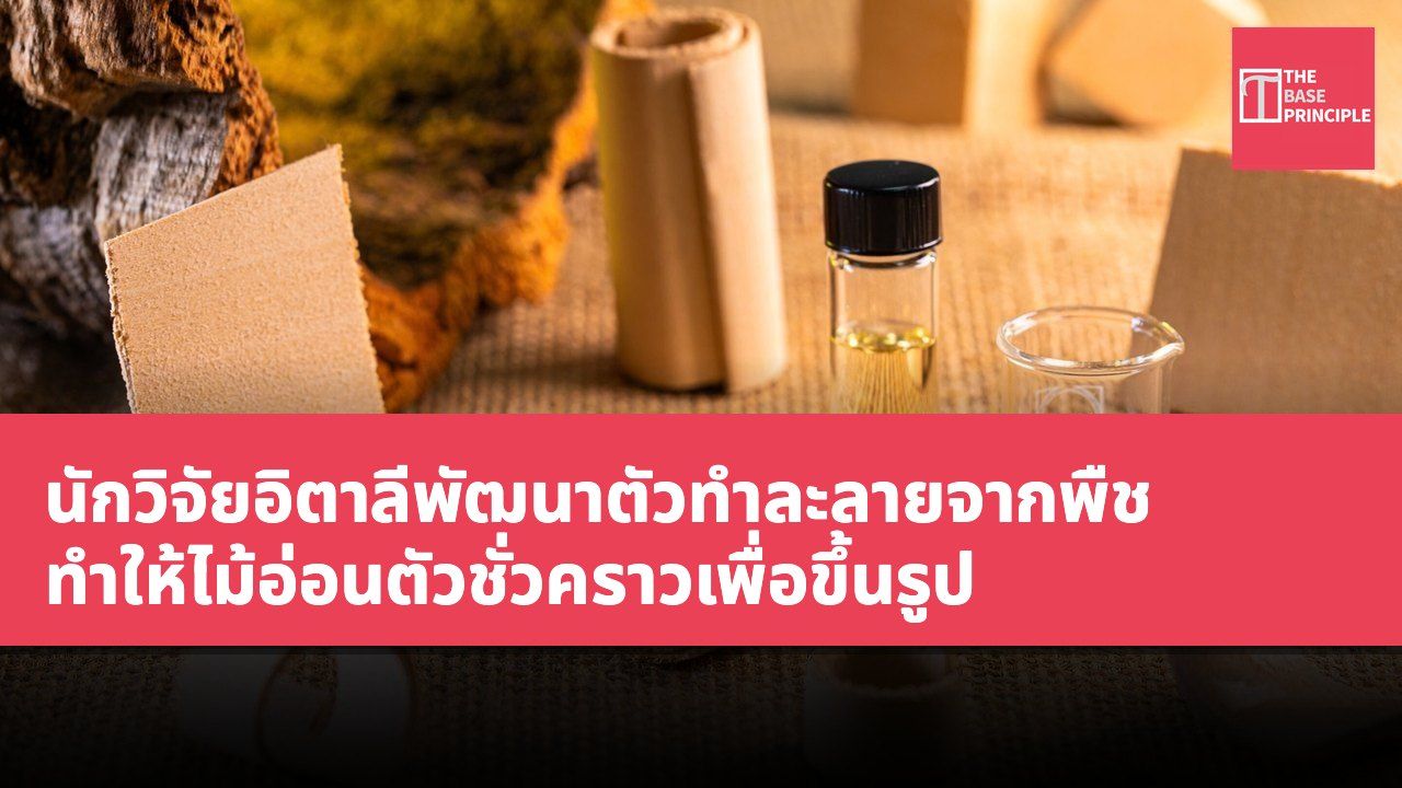นักวิจัยอิตาลีพัฒนาตัวทำละลายจากพืช ทำให้ไม้อ่อนตัวชั่วคราวเพื่อขึ้นรูป