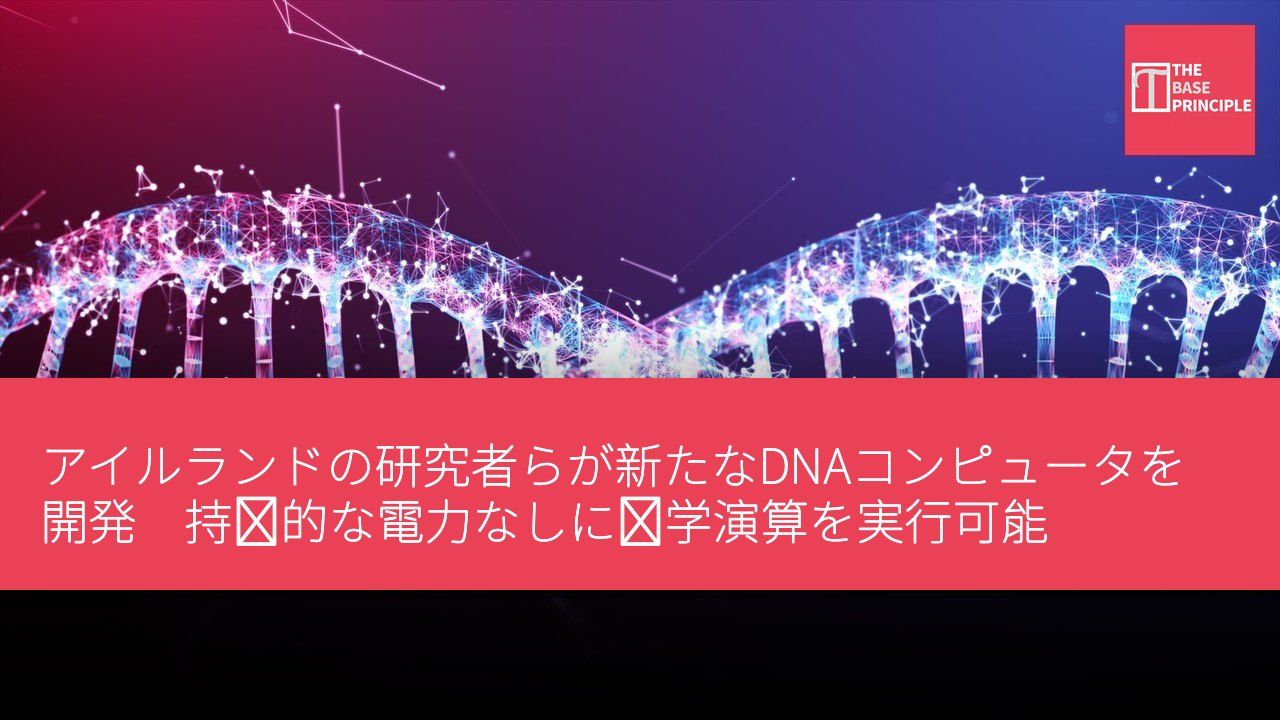 アイルランドの研究者らが新たなDNAコンピュータを開発 持続的な電力なしに数学演算を実行可能