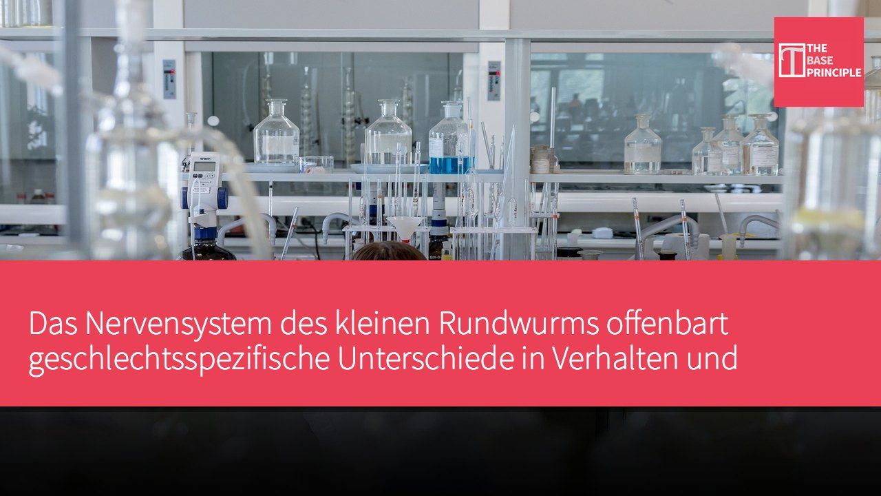 Das Nervensystem des kleinen Rundwurms offenbart geschlechtsspezifische Unterschiede in Verhalten und Fortpflanzung