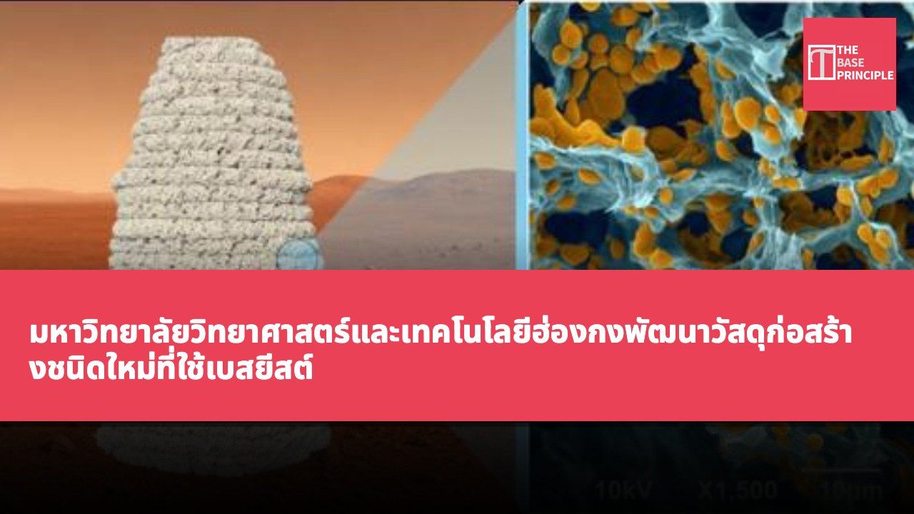 มหาวิทยาลัยวิทยาศาสตร์และเทคโนโลยีฮ่องกงพัฒนาวัสดุก่อสร้างชนิดใหม่ที่ใช้เบสยีสต์ เพื่อรับมือกับความท้าทายในการสร้างอาณานิคมบนดาวอังคาร