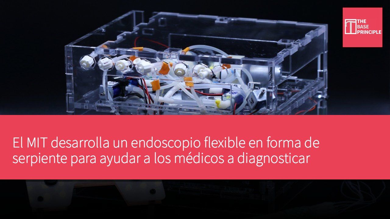 El MIT desarrolla un endoscopio flexible en forma de serpiente para ayudar a los médicos a diagnosticar enfermedades del intestino delgado
