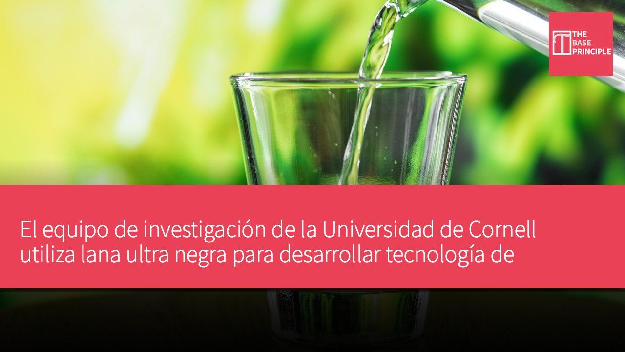 El equipo de investigación de la Universidad de Cornell utiliza lana ultra negra para desarrollar tecnología de desalinización de agua de mar