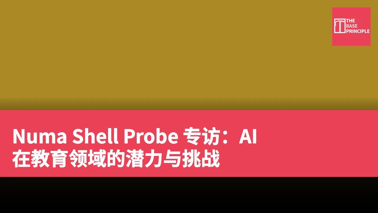 Numa Shell Probe 专访:AI 在教育领域的潜力与挑战