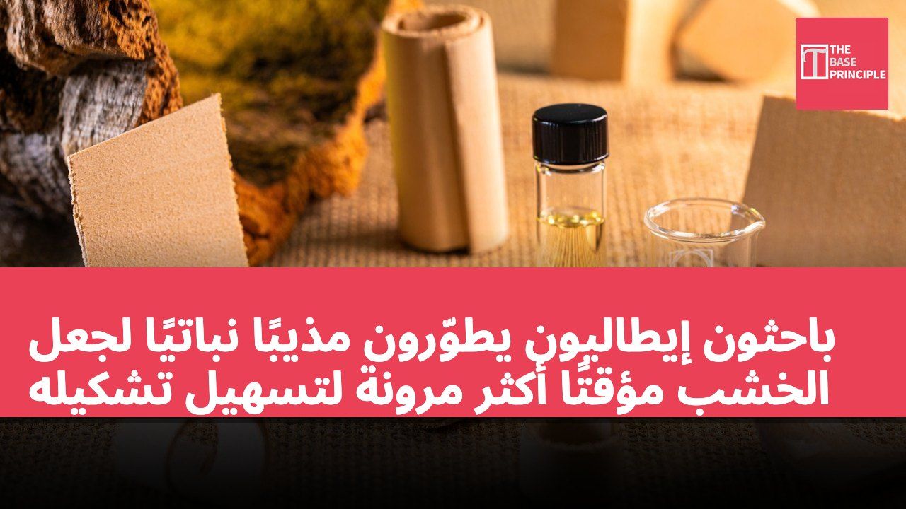 باحثون إيطاليون يطوّرون مذيبًا نباتيًا لجعل الخشب مؤقتًا أكثر مرونة لتسهيل تشكيله
