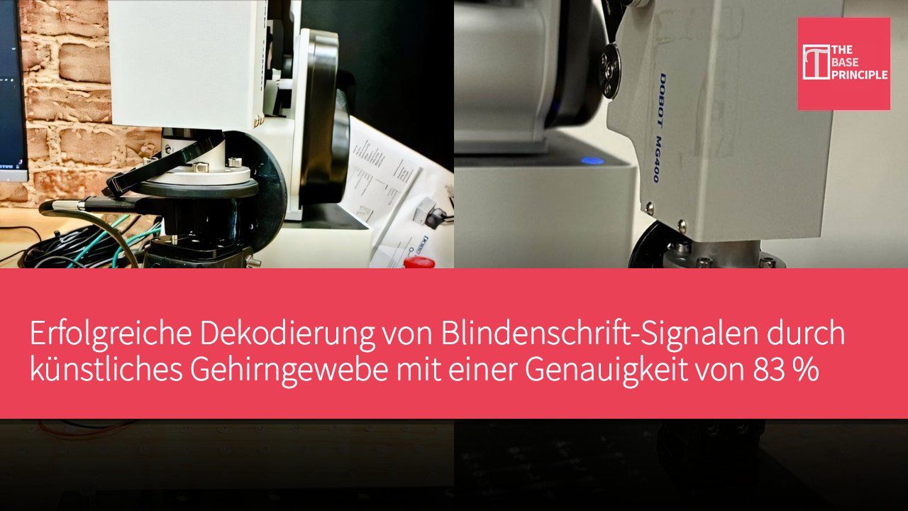 Erfolgreiche Dekodierung von Blindenschrift-Signalen durch künstliches Gehirngewebe mit einer Genauigkeit von 83 %