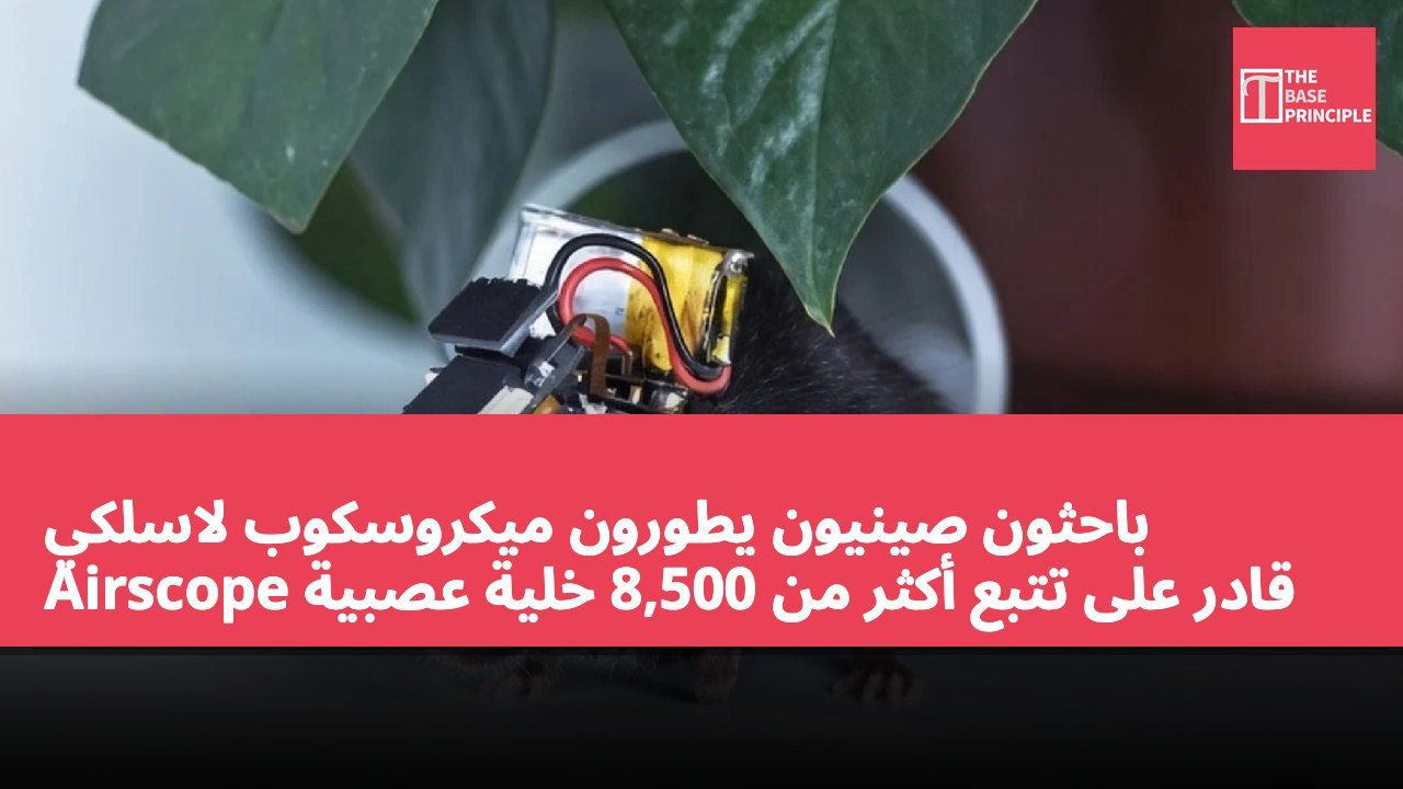 باحثون صينيون يطورون ميكروسكوب لاسلكي Airscope قادر على تتبع أكثر من 8,500 خلية عصبية