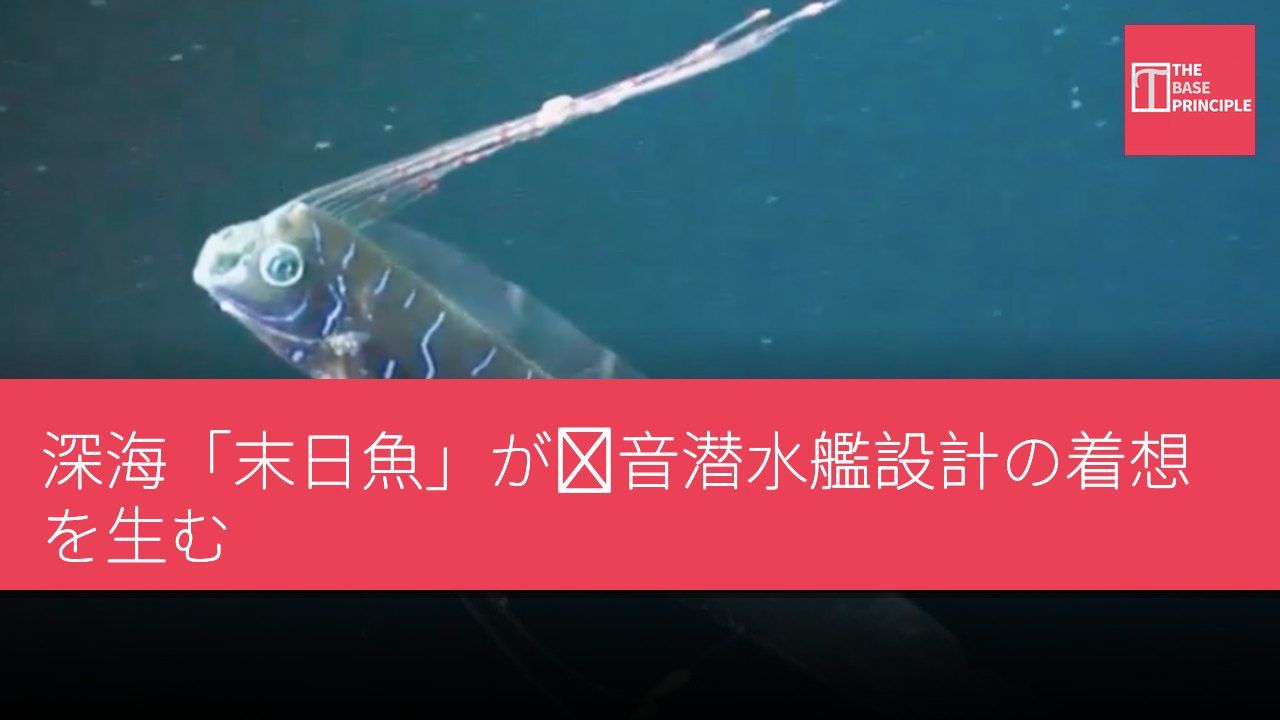 深海「末日魚」が静音潜水艦設計の着想を生む