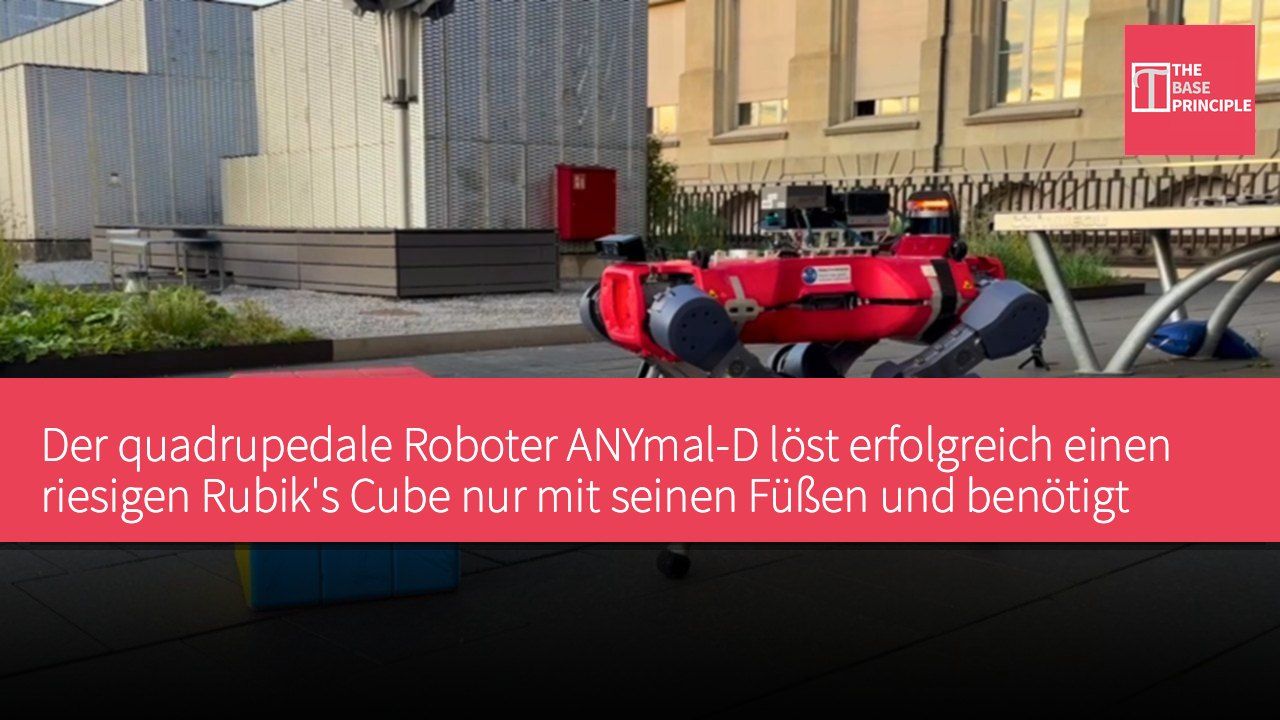 Der quadrupedale Roboter ANYmal-D löst erfolgreich einen riesigen Rubik's Cube nur mit seinen Füßen und benötigt dafür etwa 30 Schritte für drei Lösungen.