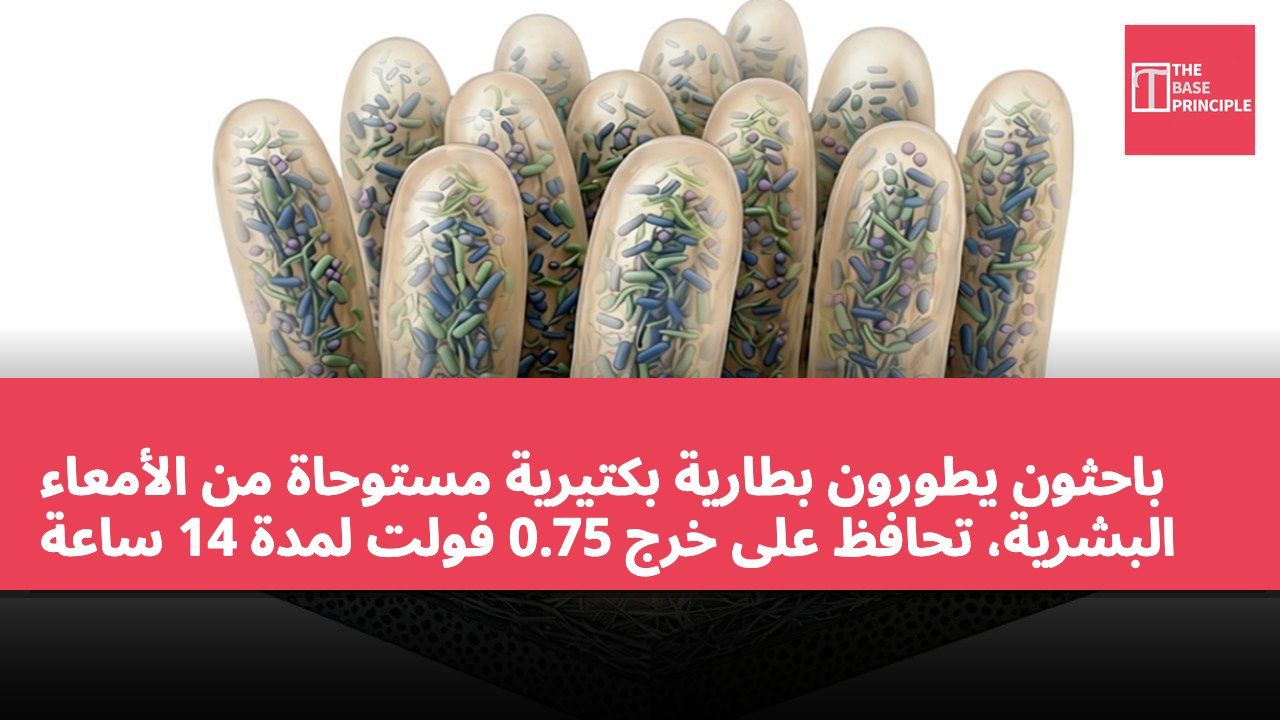 باحثون يطورون بطارية بكتيرية مستوحاة من الأمعاء البشرية، تحافظ على خرج 0.75 فولت لمدة 14 ساعة