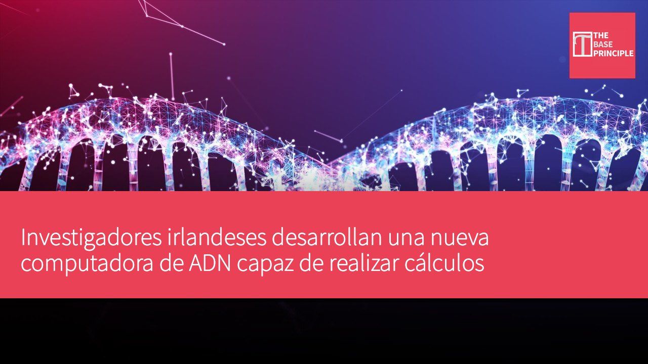 Investigadores irlandeses desarrollan una nueva computadora de ADN capaz de realizar cálculos matemáticos sin necesidad de energía continua