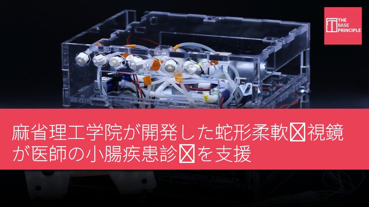 麻省理工学院が開発した蛇形柔軟内視鏡が医師の小腸疾患診断を支援