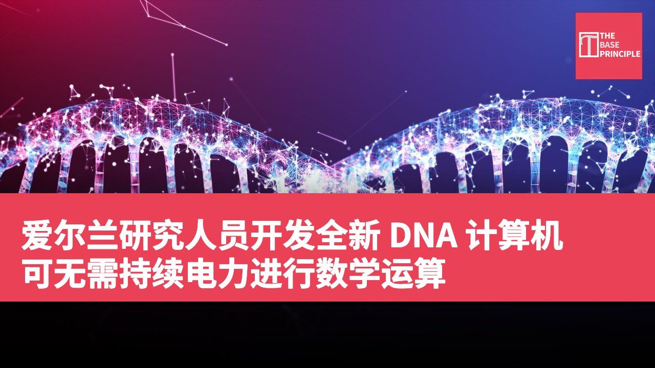 爱尔兰研究人员开发全新 DNA 计算机 可无需持续电力进行数学运算