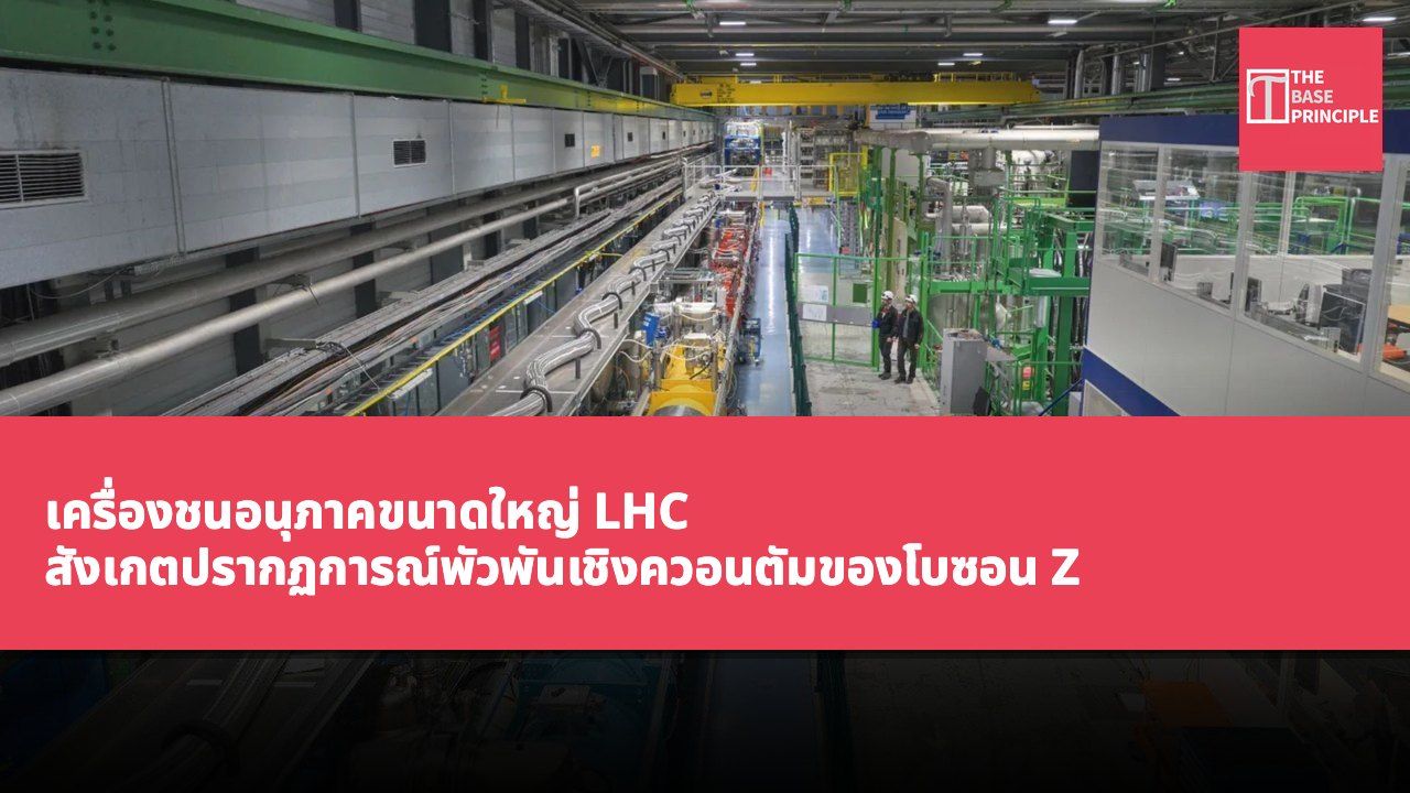 เครื่องชนอนุภาคขนาดใหญ่ LHC สังเกตปรากฏการณ์พัวพันเชิงควอนตัมของโบซอน Z เป็นครั้งแรก