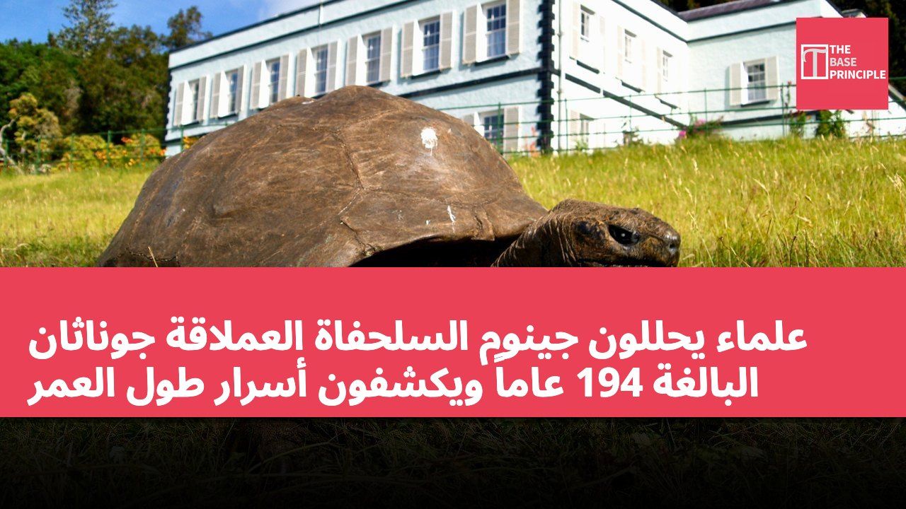 علماء يحللون جينوم السلحفاة العملاقة جوناثان البالغة 194 عاماً ويكشفون أسرار طول العمر