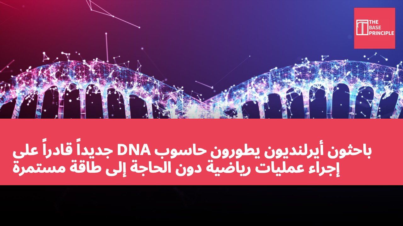 باحثون أيرلنديون يطورون حاسوب DNA جديداً قادراً على إجراء عمليات رياضية دون الحاجة إلى طاقة مستمرة