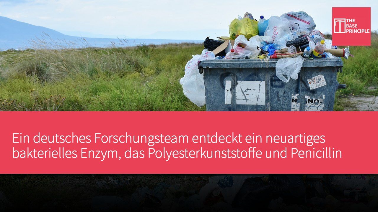 Ein deutsches Forschungsteam entdeckt ein neuartiges bakterielles Enzym, das Polyesterkunststoffe und Penicillin abbauen kann.