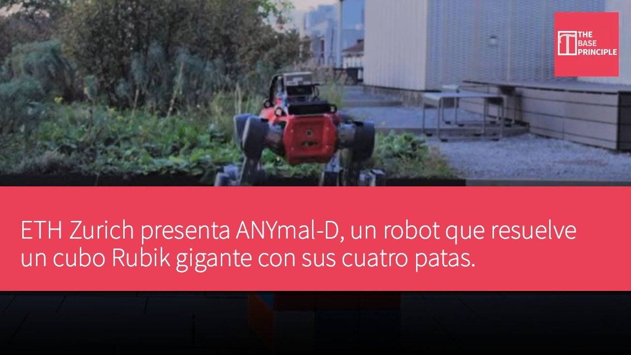 ETH Zurich presenta ANYmal-D, un robot que resuelve un cubo Rubik gigante con sus cuatro patas.