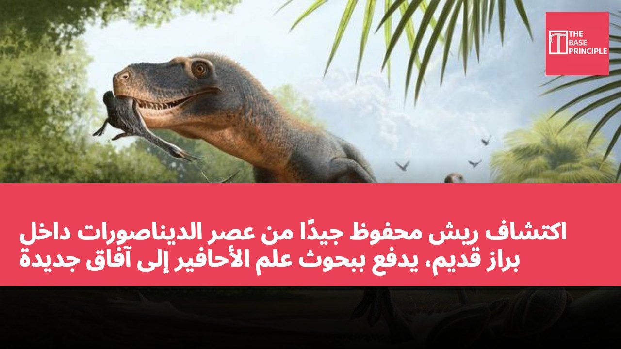 اكتشاف ريش محفوظ جيدًا من عصر الديناصورات داخل براز قديم، يدفع ببحوث علم الأحافير إلى آفاق جديدة