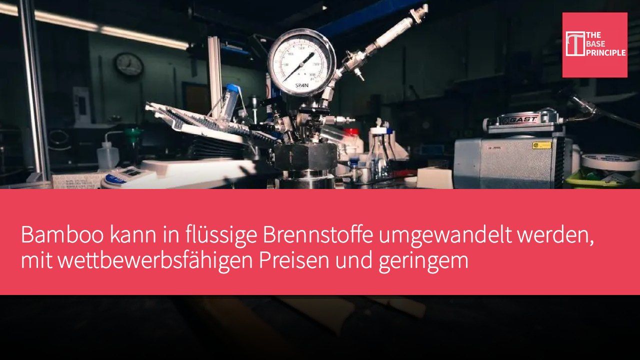 Bamboo kann in flüssige Brennstoffe umgewandelt werden, mit wettbewerbsfähigen Preisen und geringem Emissionspotenzial