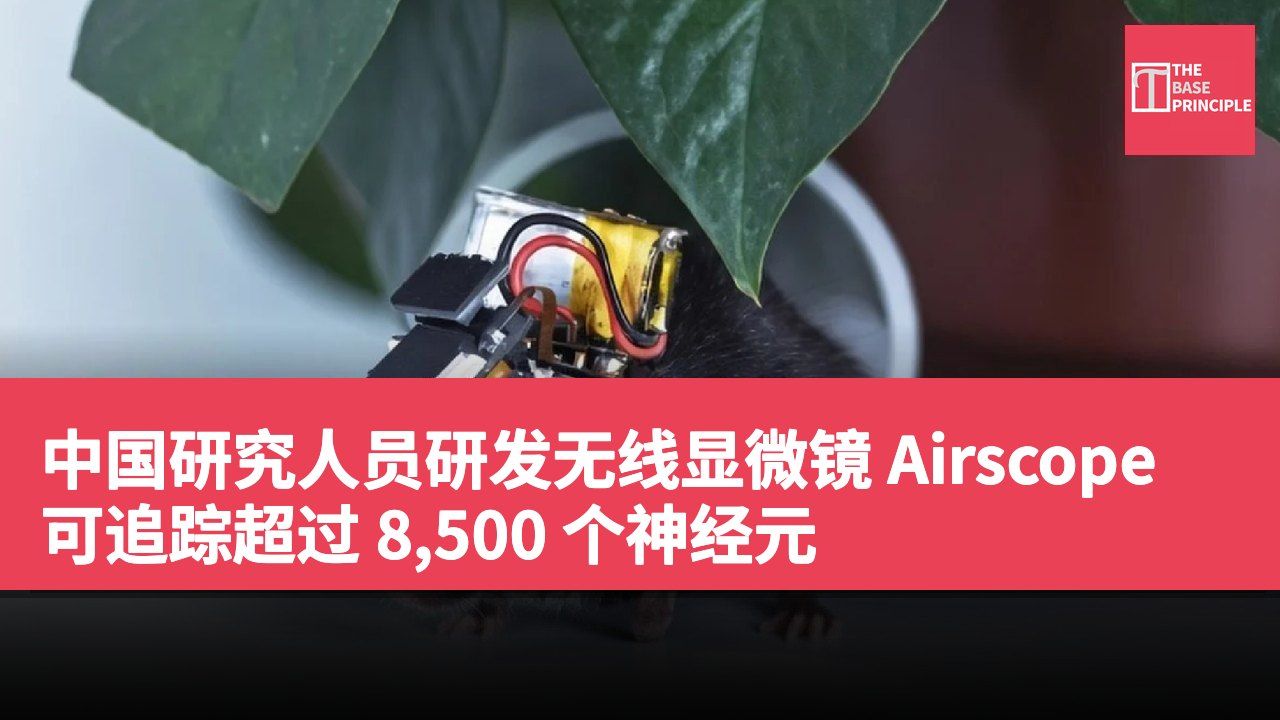 中国研究人员研发无线显微镜 Airscope 可追踪超过 8,500 个神经元