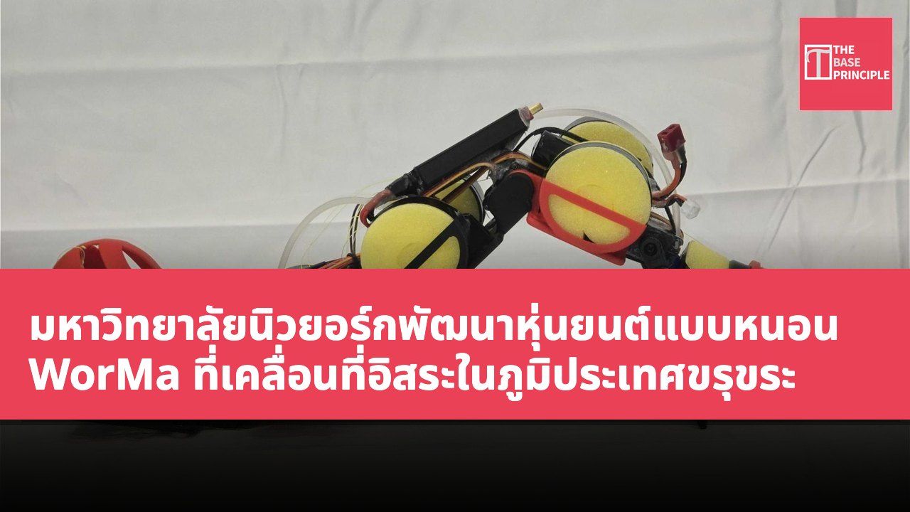 มหาวิทยาลัยนิวยอร์กพัฒนาหุ่นยนต์แบบหนอน WorMa ที่เคลื่อนที่อิสระในภูมิประเทศขรุขระ