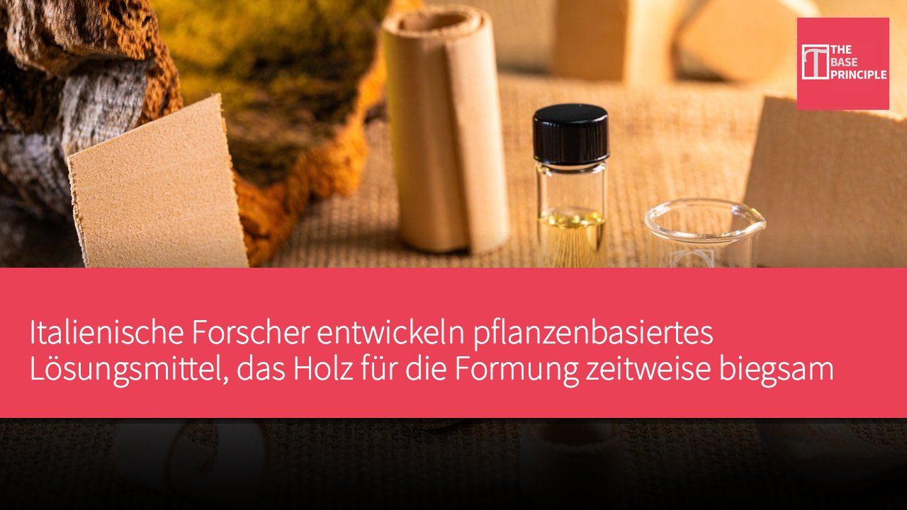 Italienische Forscher entwickeln pflanzenbasiertes Lösungsmittel, das Holz für die Formung zeitweise biegsam macht
