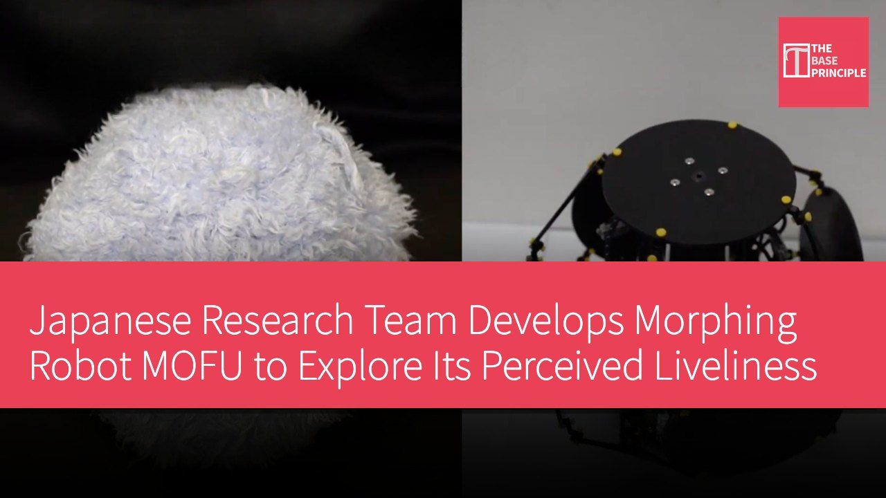 Japanese Research Team Develops Morphing Robot MOFU to Explore Its Perceived Liveliness