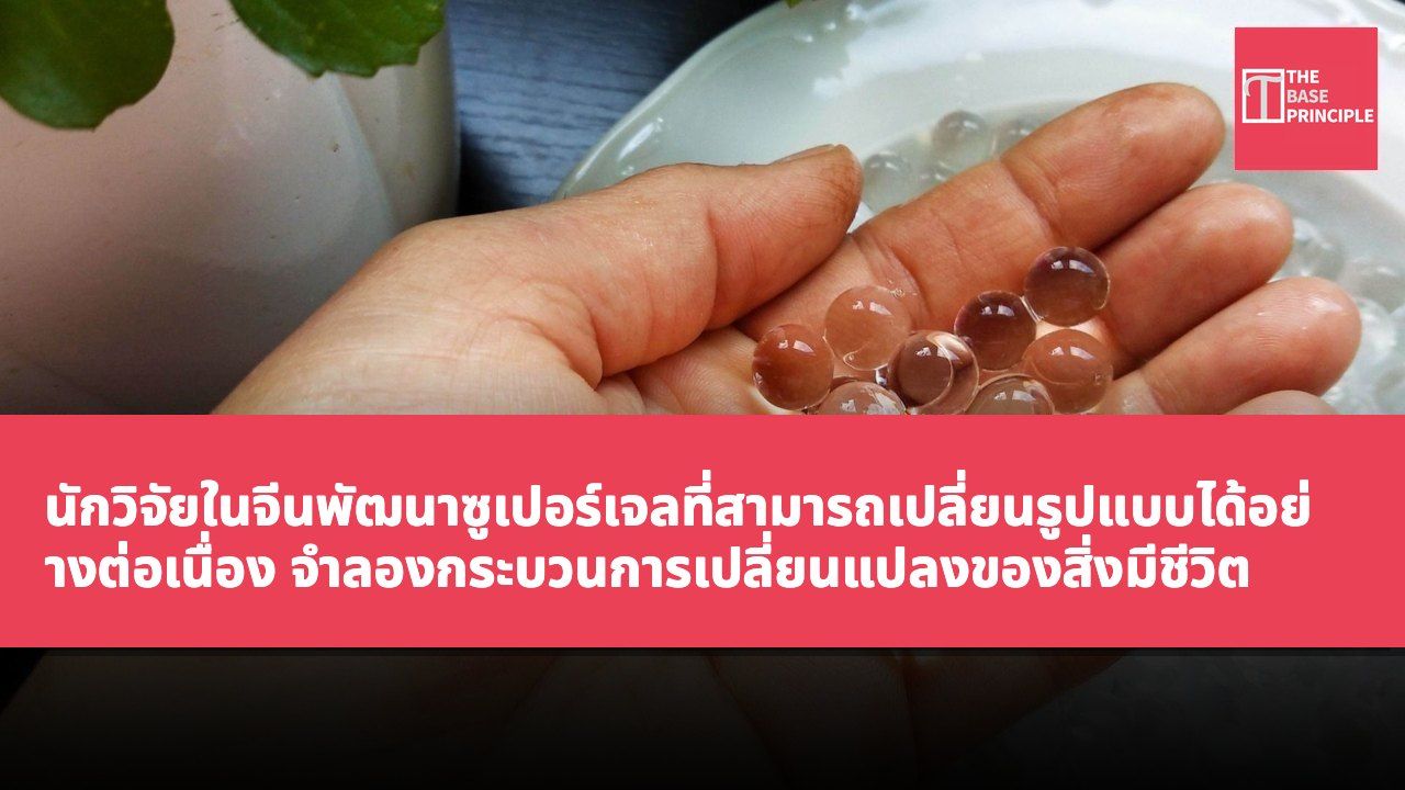 นักวิจัยในจีนพัฒนาซูเปอร์เจลที่สามารถเปลี่ยนรูปแบบได้อย่างต่อเนื่อง จำลองกระบวนการเปลี่ยนแปลงของสิ่งมีชีวิต