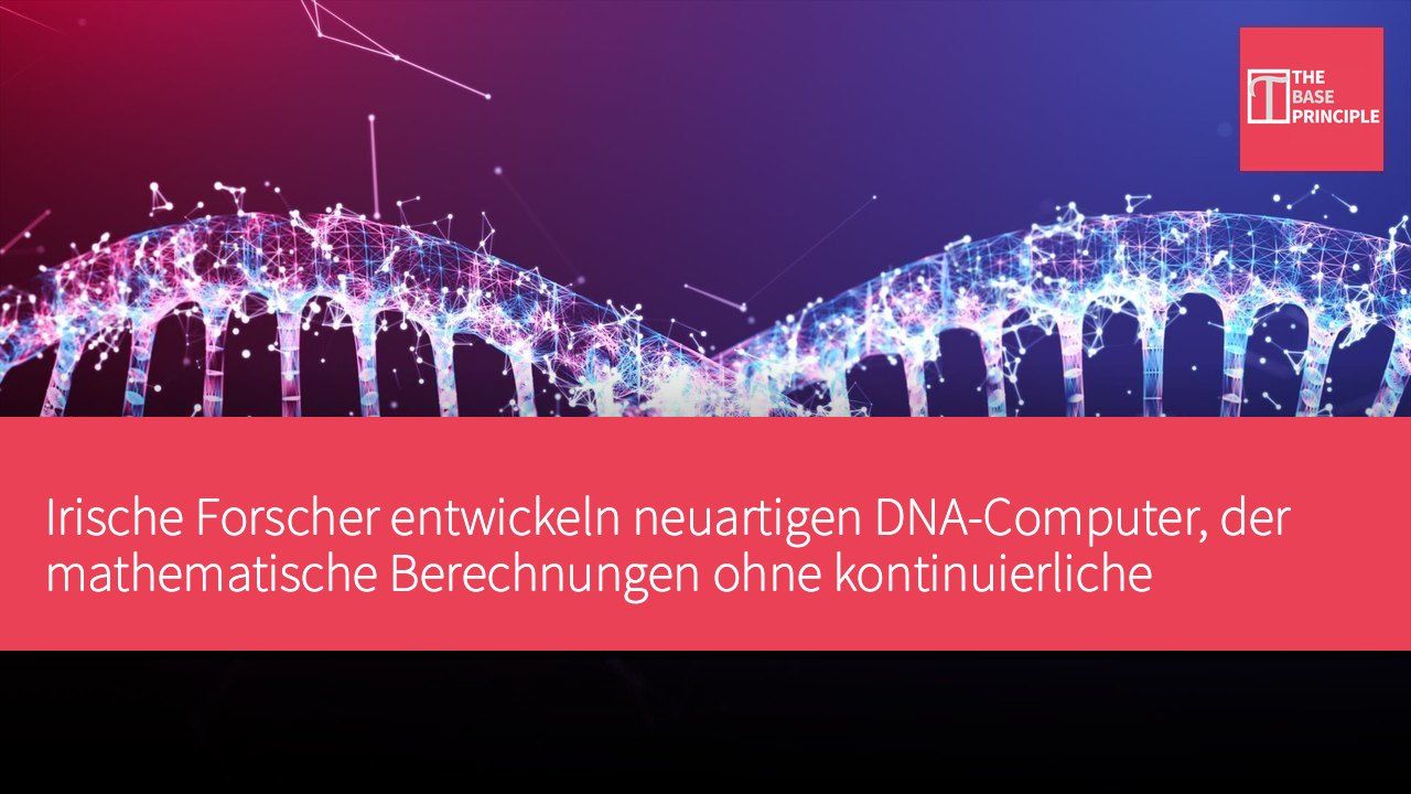 Irische Forscher entwickeln neuartigen DNA-Computer, der mathematische Berechnungen ohne kontinuierliche Stromversorgung durchführen kann