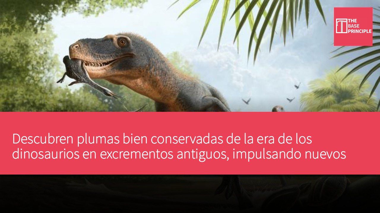 Descubren plumas bien conservadas de la era de los dinosaurios en excrementos antiguos, impulsando nuevos avances en paleontología