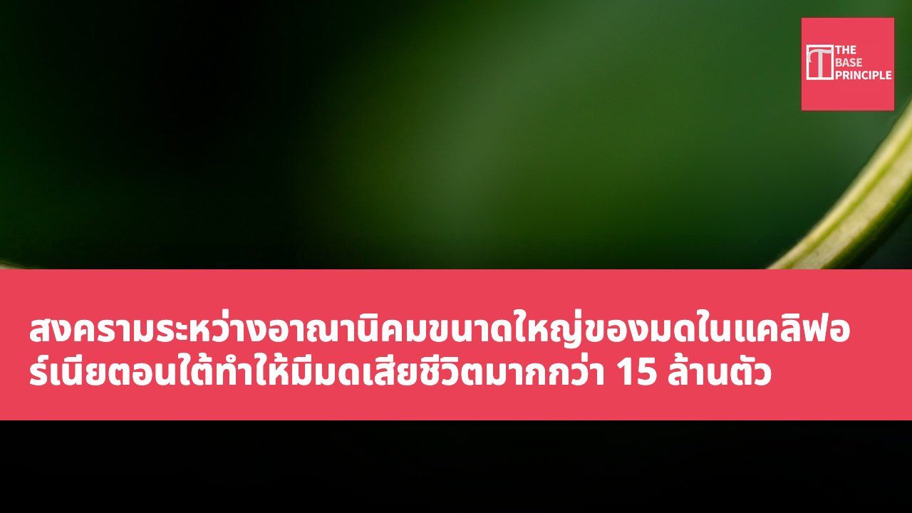 สงครามระหว่างอาณานิคมขนาดใหญ่ของมดในแคลิฟอร์เนียตอนใต้ทำให้มีมดเสียชีวิตมากกว่า 15 ล้านตัว
