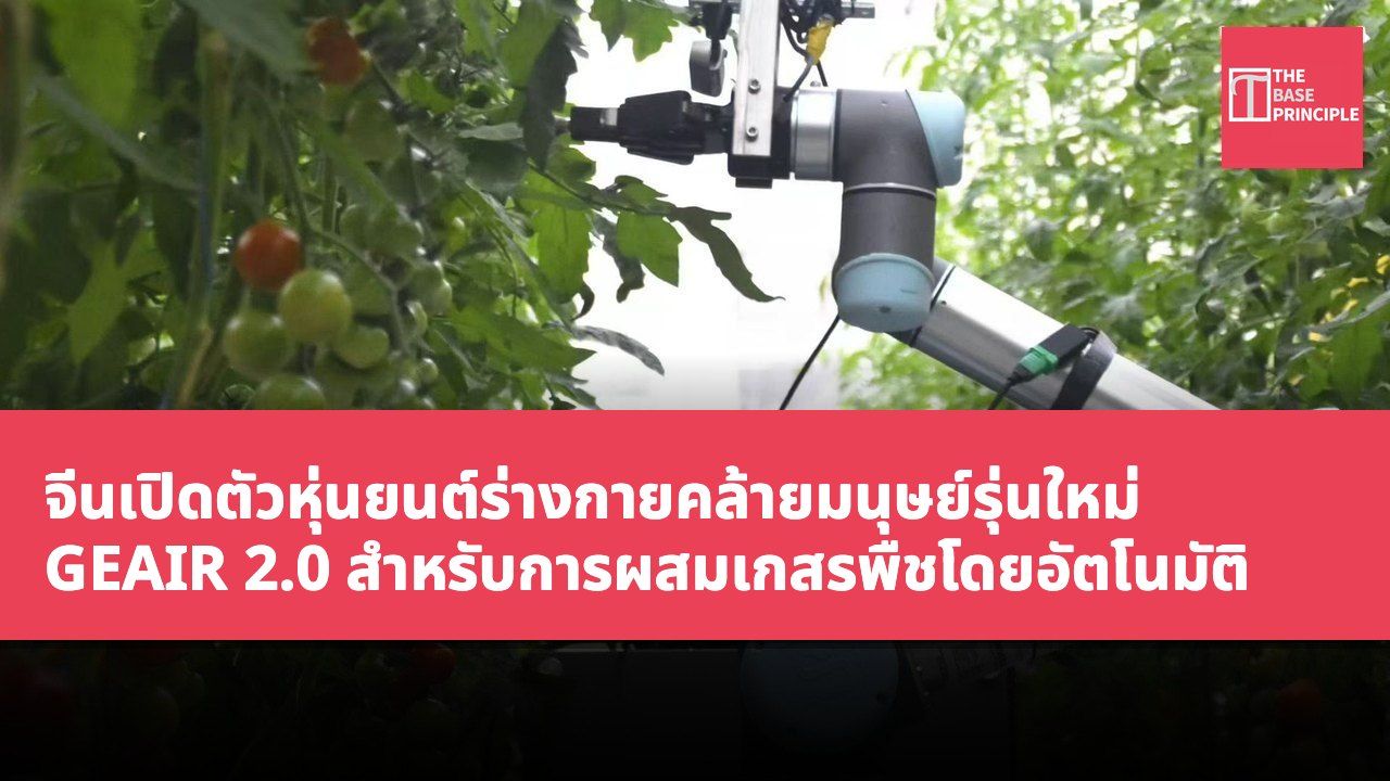 จีนเปิดตัวหุ่นยนต์ร่างกายคล้ายมนุษย์รุ่นใหม่ GEAIR 2.0 สำหรับการผสมเกสรพืชโดยอัตโนมัติ