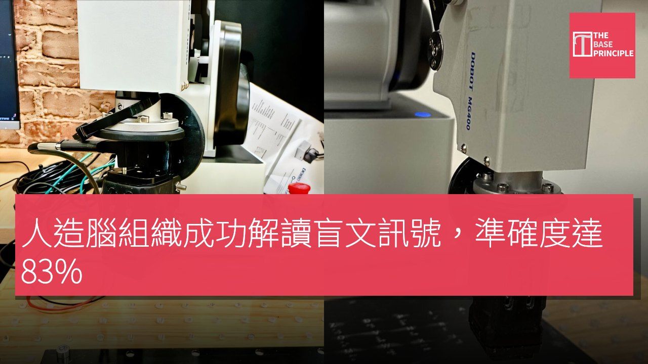 人造腦組織成功解讀盲文訊號,準確度達 83%