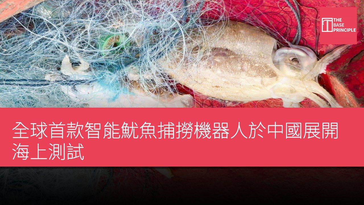 全球首款智能魷魚捕撈機器人於中國展開海上測試